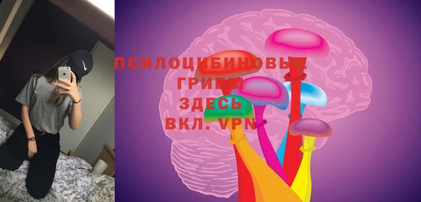 Альфа ПВП Алексин